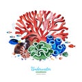 Watercolor composition with multicolored corals,seashells,seaweeds and tropical fish.