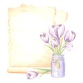 Watercolor composition papyrus, aged sheets of paper with bouquet of violet crocuses flowers in glass jar with tag