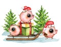 Watercolor composition with piglets, gift box, sleigh, snow and