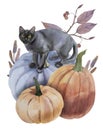 Watercolor composition with pumpkins, cat and leaves Royalty Free Stock Photo