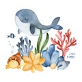 Watercolor composition with seaweeds,sea creatures,seashells and corals.Underwater collection