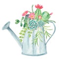 Watercolor composition with succulents, cacti and watering can.