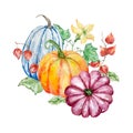 Watercolor composition three multicolored pumpkins