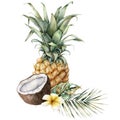 Watercolor composition of tropical fruits. Hand painted card with pineapple, coconut, plumeria and palm leaves isolated