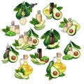 Watercolor compositions of essential oil bottles and avocados Royalty Free Stock Photo