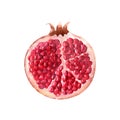 Watercolor compositions with pomegranates, pomegranate seeds and pomegranate juice