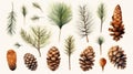 Watercolor Cones and Firneedle Collection AI Generated Royalty Free Stock Photo