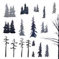 Watercolor conifers. Firs and pines. Northern Forest. Gray. Set