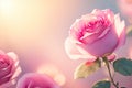 watercolor contrast Pink rose flower. ai generative Royalty Free Stock Photo