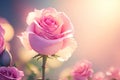 watercolor contrast Pink rose flower. ai generative Royalty Free Stock Photo