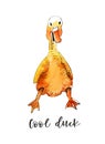 Watercolor cool duck for t-shirt print design. Hand-drawn, full color illustration.
