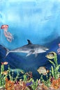 Watercolor Coral Reef Border And Shark. Hand Painted Underwater Illustration With Laminaria Branch, Fish, Tridact