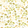 Watercolor corolla dill flower seamless pattern