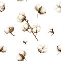 Watercolor Cotton Softness seamless pattern on white background. Botanical Aquarelle wild flower for background, texture