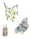 Watercolor country summer time set. Hand drawn realistic rustic collection. Boho style illustration. Butterfly, thermos