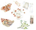 Watercolor country summer time set. Hand drawn realistic rustic collection. Boho style illustration.