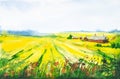Watercolor countryside landscape. Wheat field in Provence. Beautiful view, field, village, wild grass and flowering meadow