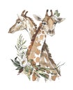Watercolor couple of cute giraffes with flowers. African animlas clipart.