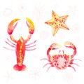 watercolor crab, lobster, starfish isolated