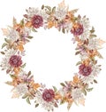 Watercolor crimson, white and orange asters wreath. Fall flowers circle frame. Autumn template.