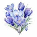 Watercolor Crocus Flowers Bouquet Clipart - Chic Turkish Blue Hues