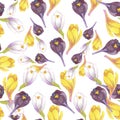 Watercolor crocus pattern