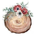 Watercolor cross section of a tree with anemone bouquet. Hand painted red and white flowers and eucaliptus leaves on