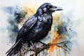 watercolor Crow Black Crow Watercolor Raven Bird