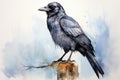 watercolor Crow Black Crow Watercolor Raven Bird