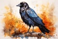 watercolor Crow Black Crow Watercolor Raven Bird