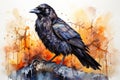 watercolor Crow Black Crow Watercolor Raven Bird