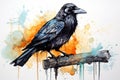 watercolor Crow Black Crow Watercolor Raven Bird