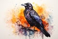 watercolor Crow Black Crow Watercolor Raven Bird