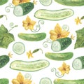 Watercolor Cucumber pattern on white