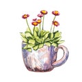 Watercolor cup with small pink flowers. Hand draw watercolor illustrations on white background. Easter collection. Royalty Free Stock Photo