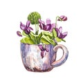 Watercolor cup with small violet flowers. Hand draw watercolor illustrations on white background. Easter collection. Royalty Free Stock Photo