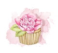 Watercolor cupcake with rose flower on pink stain backdrop