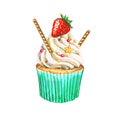 Watercolor cupcake. Watercolor strawberry cupcake.