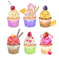 Watercolor cupcakes collection. Watercolor cupcakes set Royalty Free Stock Photo