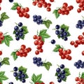 Watercolor currants seamless pattern.