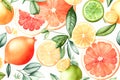 watercolor cut citruses on white background grapefruit orange lemon. Generative AI Royalty Free Stock Photo