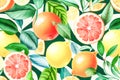 watercolor cut citruses on white background grapefruit orange lemon. Generative AI Royalty Free Stock Photo
