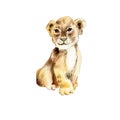 Watercolor Cute baby animals Royalty Free Stock Photo