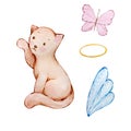 Watercolor cute baby cat angel with wings Royalty Free Stock Photo