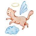 Watercolor cute baby cat angel with wings Royalty Free Stock Photo