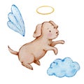 Watercolor cute baby dog angel with wings