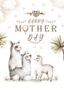 Watercolor cute baby and mother alpaca card illustration. Bright mexican florals card template clipart. white lama baby