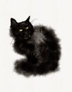 Watercolor Cute Black Fluffy Sitting Cat Royalty Free Stock Photo