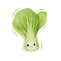 Watercolor cute bok choy cartoon character. Vector illustration