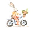 Watercolor cute bunny on bicycle with flowers. Spring summer. Baby character. Perfect for invitations, greeting cards, packing,